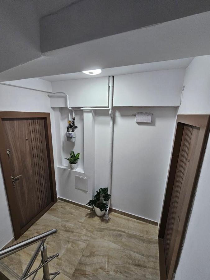 Didi Apartament クラヨーヴァ エクステリア 写真