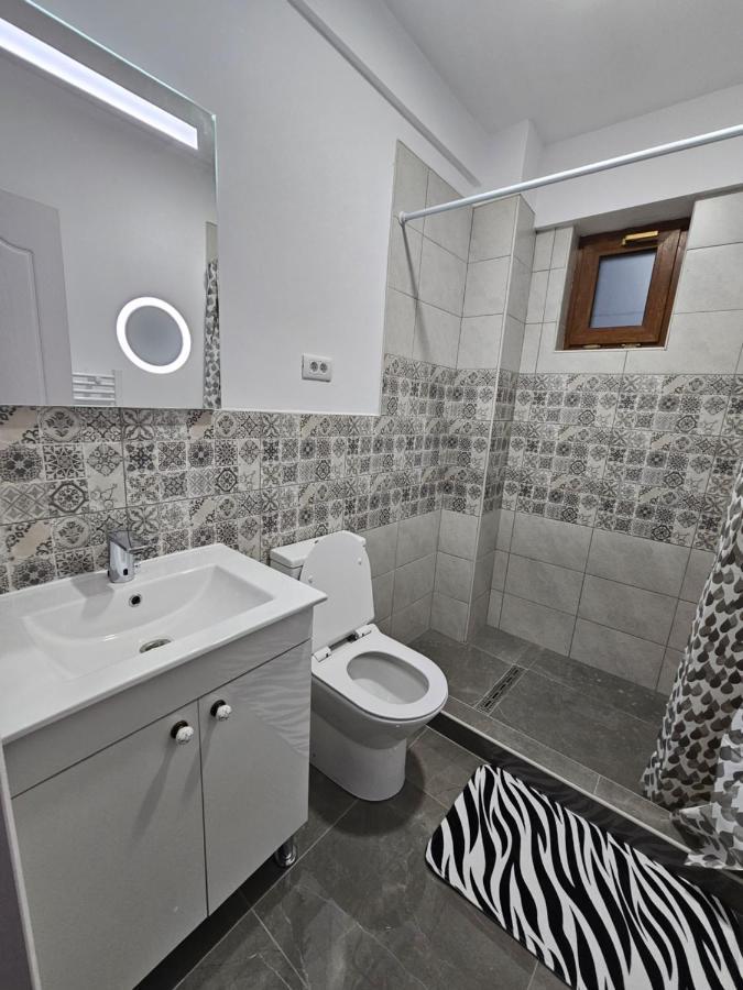 Didi Apartament クラヨーヴァ エクステリア 写真