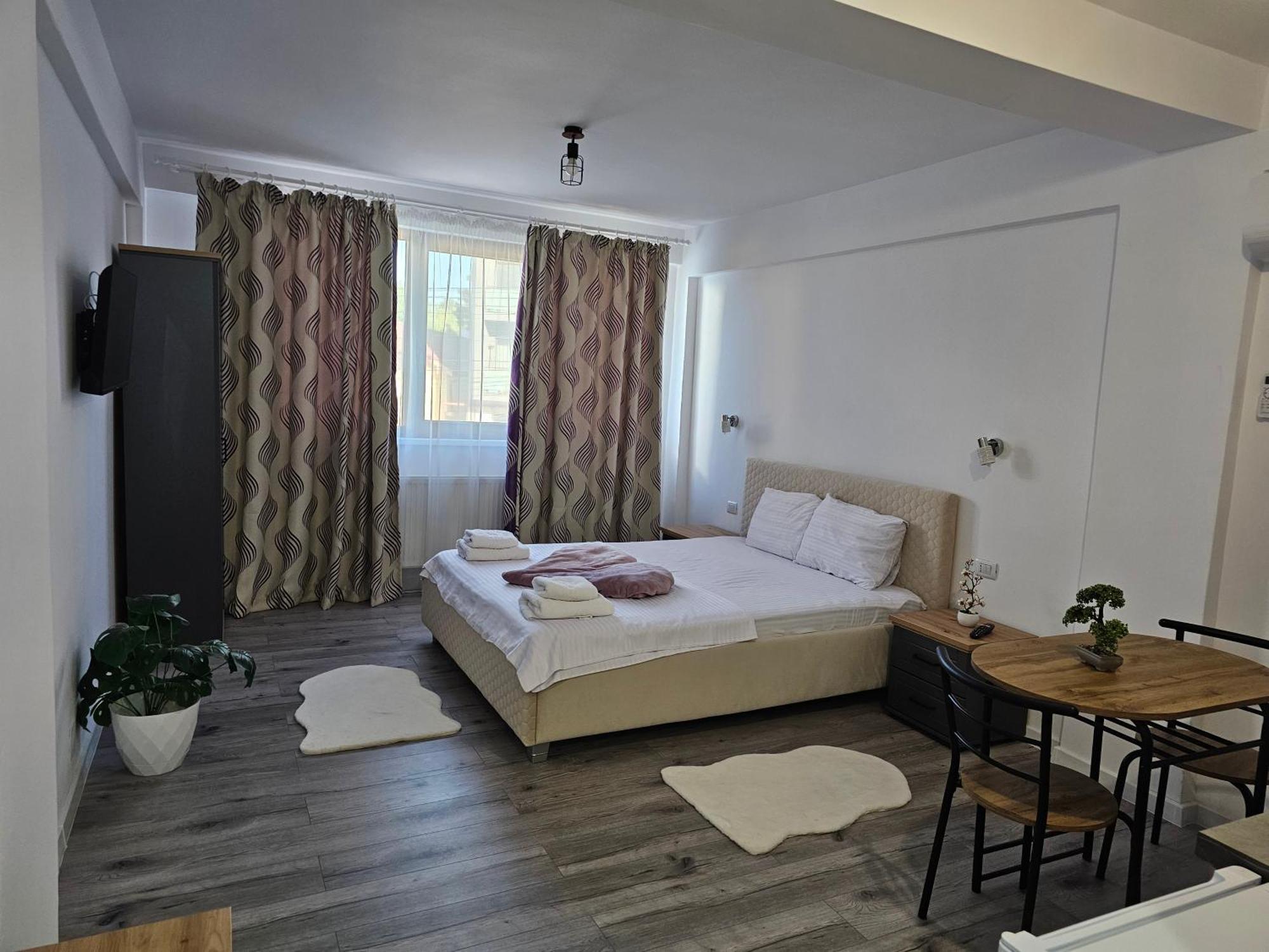 Didi Apartament クラヨーヴァ 部屋 写真