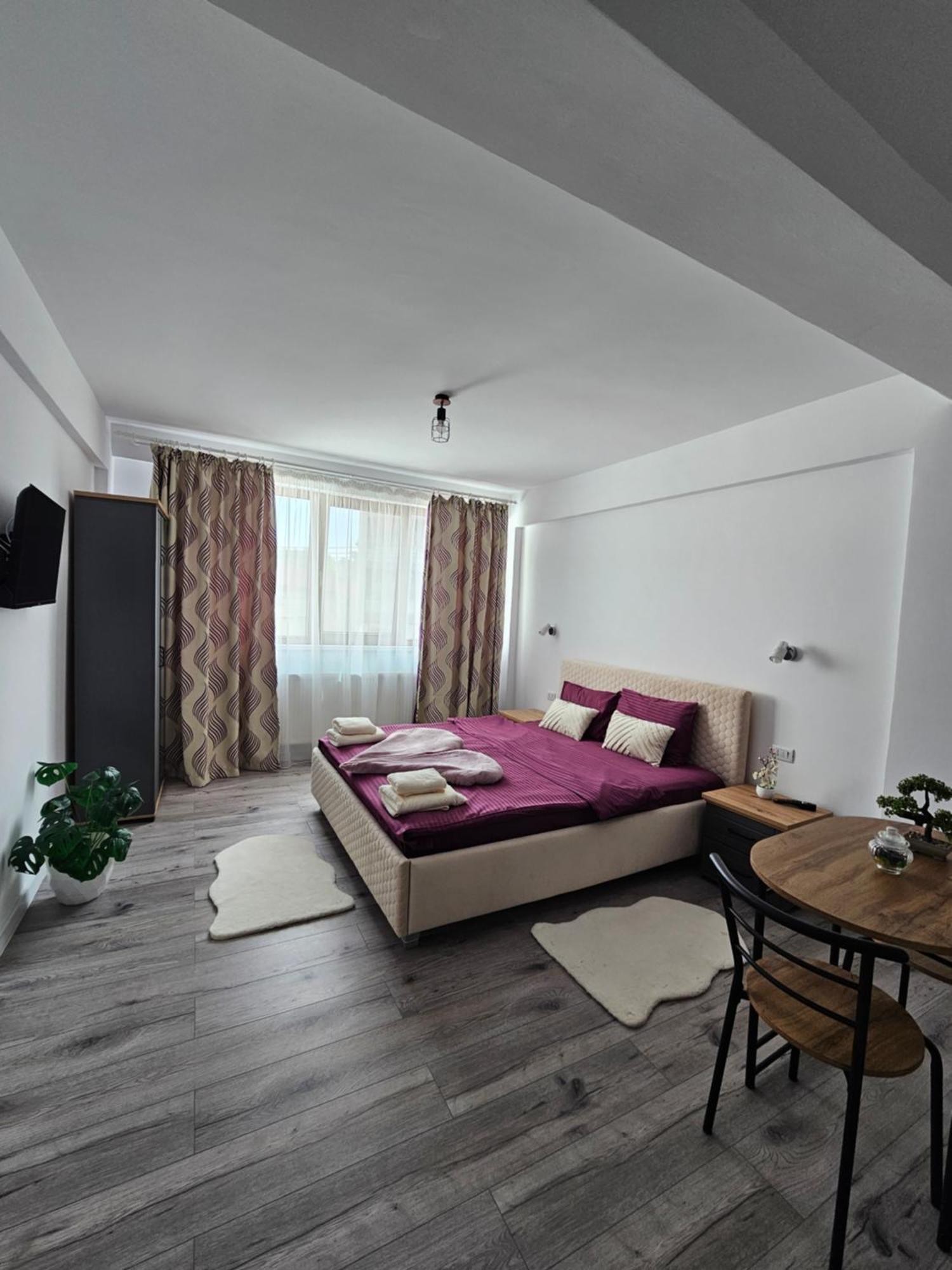 Didi Apartament クラヨーヴァ エクステリア 写真